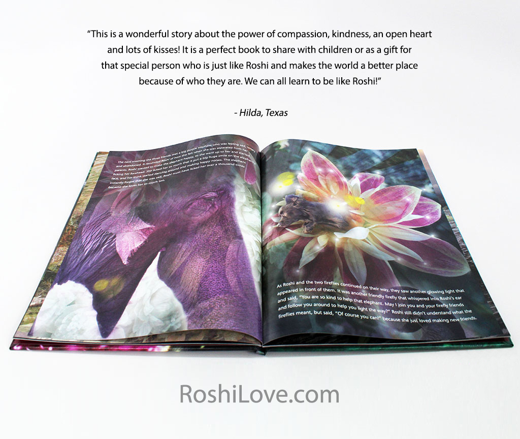 roshi-book_review_graphic